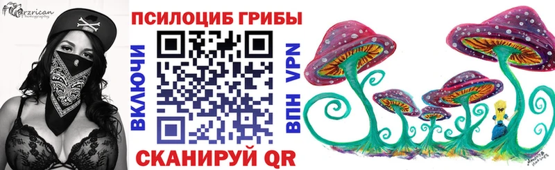 Галлюциногенные грибы Psilocybine cubensis Пермь